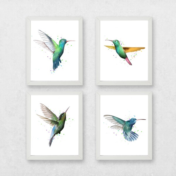 Set von Kolibris, Kolibri Drucke, Kolibri Poster Drucke, Aquarell Kolibri Set, Kolibri 4er Set, Aquarell Vogel Set