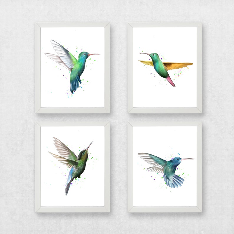 May include: Set of four framed prints featuring watercolor illustrations of hummingbirds in flight. Each print has a white background with colorful watercolor splatters and a single hummingbird in a different pose.