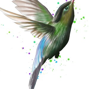 May include: A green and blue hummingbird with a long beak is flying against a white background with green, blue, and purple paint splatters.