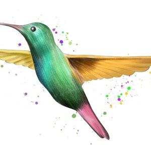 May include: A green, yellow, and pink hummingbird with outstretched wings flies against a white background with colorful paint splatters.