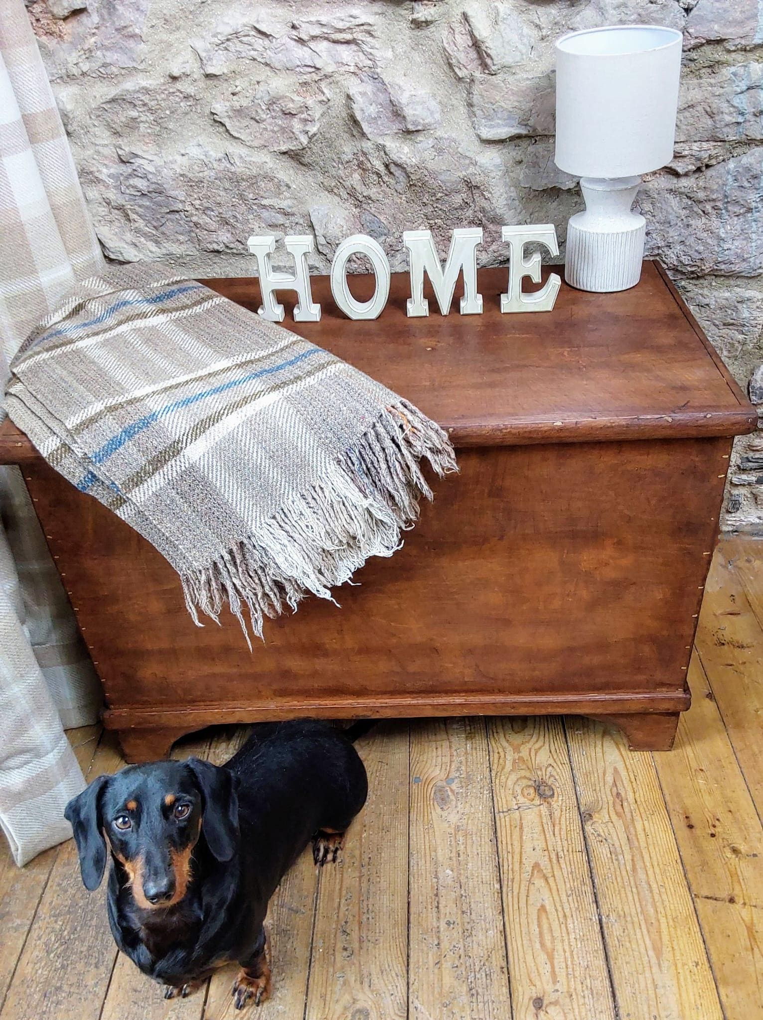 Large Antique Blanket Chest