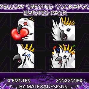 Puede incluir: Un conjunto de cuatro emotes de 200x200 píxeles con un cacatúa crestado amarillo con diferentes expresiones. Los emotes se titulan "Yellow Crested Cockatoo Emotes Pack" y son de "Malexadesigns".