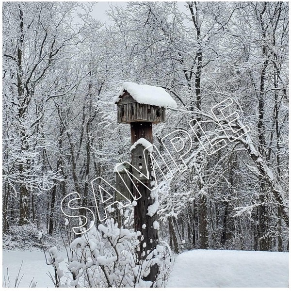 Winter Birdhouse in the snow Printable photograph New England Winter Snow Photograph