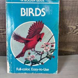 Vintage Book, Birds, A Golden Guide, Golden Press, 1987