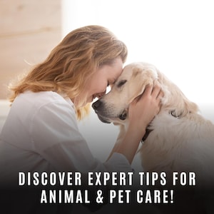 Może przedstawiać: Kobieta z blond włosami delikatnie dotyka nosa białego psa. Kobieta ma na sobie białą koszulę, a pies ma zamknięte oczy. Tekst "DISCOVER EXPERT TIPS FOR ANIMAL & PET CARE!" znajduje się na dole obrazu.
