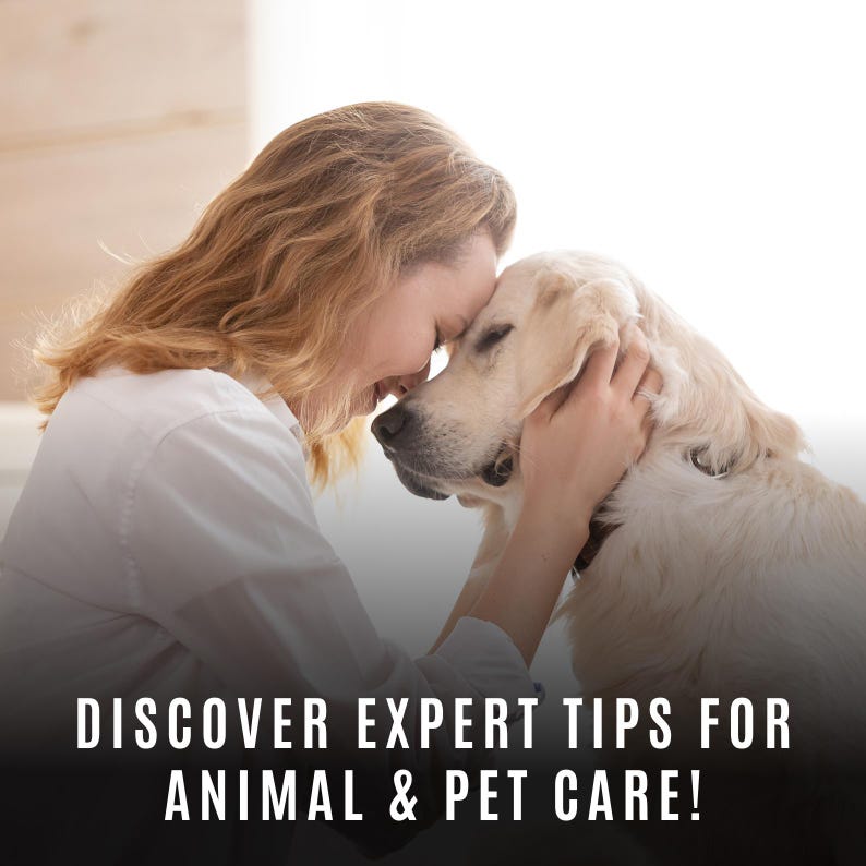 Może przedstawiać: Kobieta z blond włosami delikatnie dotyka nosa białego psa. Kobieta ma na sobie białą koszulę, a pies ma zamknięte oczy. Tekst "DISCOVER EXPERT TIPS FOR ANIMAL & PET CARE!" znajduje się na dole obrazu.