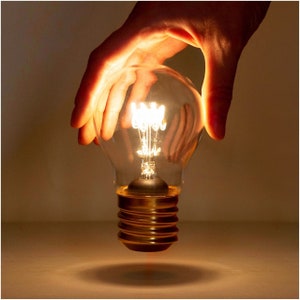 Cordless Lamp | USB Battery Lamp | Cordless Table Lamp | Rechargeable Lamp | Light Bulb Shaped LED Light | Bedside Lamp & Bedroom Decor