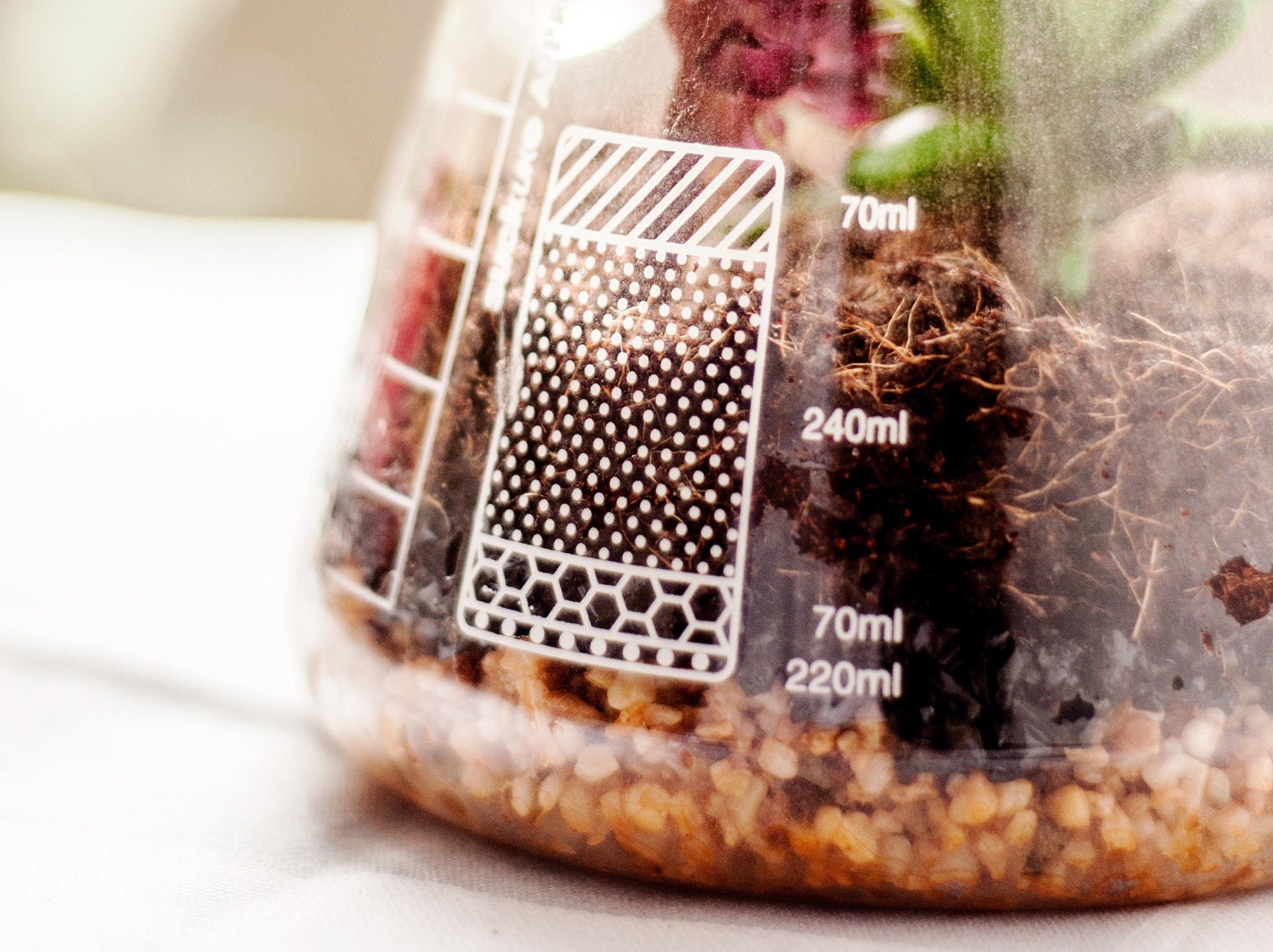 Terrarium Kit Planting Chemistry Set Conical Flask Plant Etsy