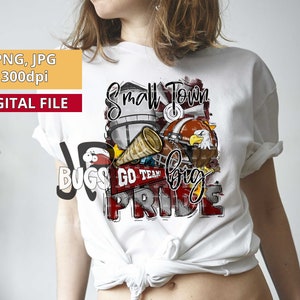 Small Town Big Pride Eagles Football Sublimation Design, PNG, Maroon and Grey Eagles, Eagles T-shirt png, Tumbler Sublimation, PNG