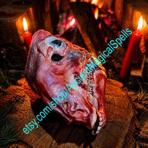 May include: A raw animal head with visible teeth, eye socket, and textured skin, positioned on a circular wooden log slice. The text "etsy.com/shop/AncientMagicalSpells" is overlaid in cyan across the center of the raw animal head.