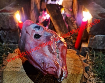 Revenge Spell, Curse Enemy Spell, Powerful Arabic Black Magic For Destruction, Same Day Casting