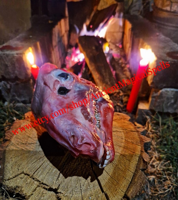 Revenge Spell, Curse Enemy Spell, Powerful Arabic Black Magic For Destruction, Same Day Casting