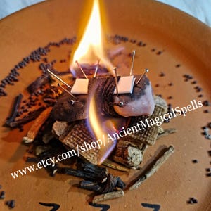 May include: A burning object with needles and white squares on a terracotta plate. The flame is bright yellow and orange. Surrounding the object are various dried herbs and seeds. The text "www.etsy.com/shop/AncientMagicalSpells" is visible.