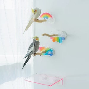 17x6cm Rainbow Theme Acrylic Parrot Window Bird Wooden Perch Stickers Stand for Small Medium Bird Parrot Lovebird Budgie