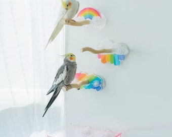 17x6cm Rainbow Theme Acrylic Parrot Window Bird Wooden Perch Stickers Stand for Small Medium Bird Parrot Lovebird Budgie