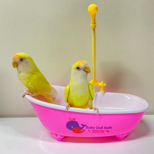 Parrot Electric Pink Bathtub Bathing Play Water Toys Suitable for Hand Breeding Birds for Small Medium Bird Parrot Lovebird Budgie