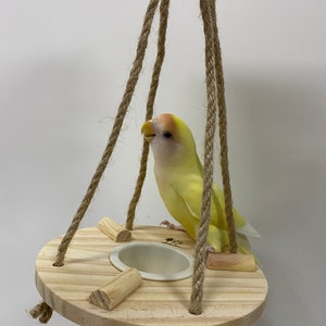 Room Athletic Circle Platform for Small Medium Bird and Parrot Lovebird Budgie Pacific Parrotlet Finches