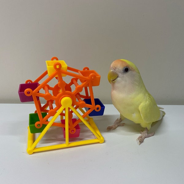 Budgie Toys Etsy