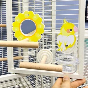 Handmade Cute Design Acrylic Food Round Transparent Cutlery Food Water for Small Medium Bird and Parrot Lovebird Budgie Pacific Parrotlet