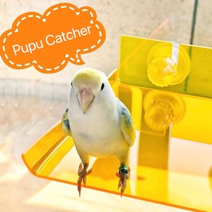 22x20cm New Design Acrylic Pupu Catcher for Parrot Window Playground