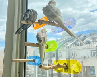 17x6cm Colorful Acrylic Parrot Window Bird Wooden Perch Stickers Stand for Small Medium Bird Parrot Lovebird Budgie