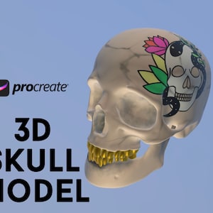 Procreate 3D Object Skull Model Tattoo Brush Witch Animal Skull Head Magic Poison Dark Soul Doodle Art Digital How Paint Easy Realistic