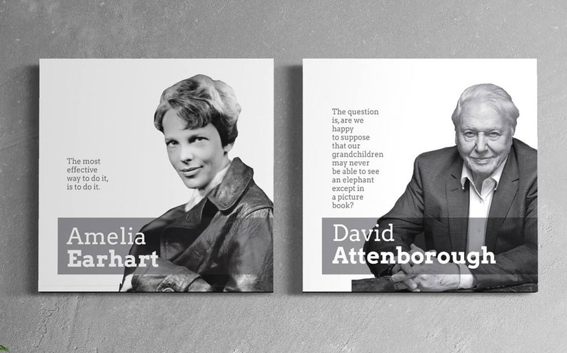 May include: Two black and white portraits of famous people with inspirational quotes. Amelia Earhart's quote is "The most effective way to do it, is to do it." David Attenborough's quote is "The question is, are we happy to suppose that our grandchildren may never be able to see an elephant except in a picture book?"