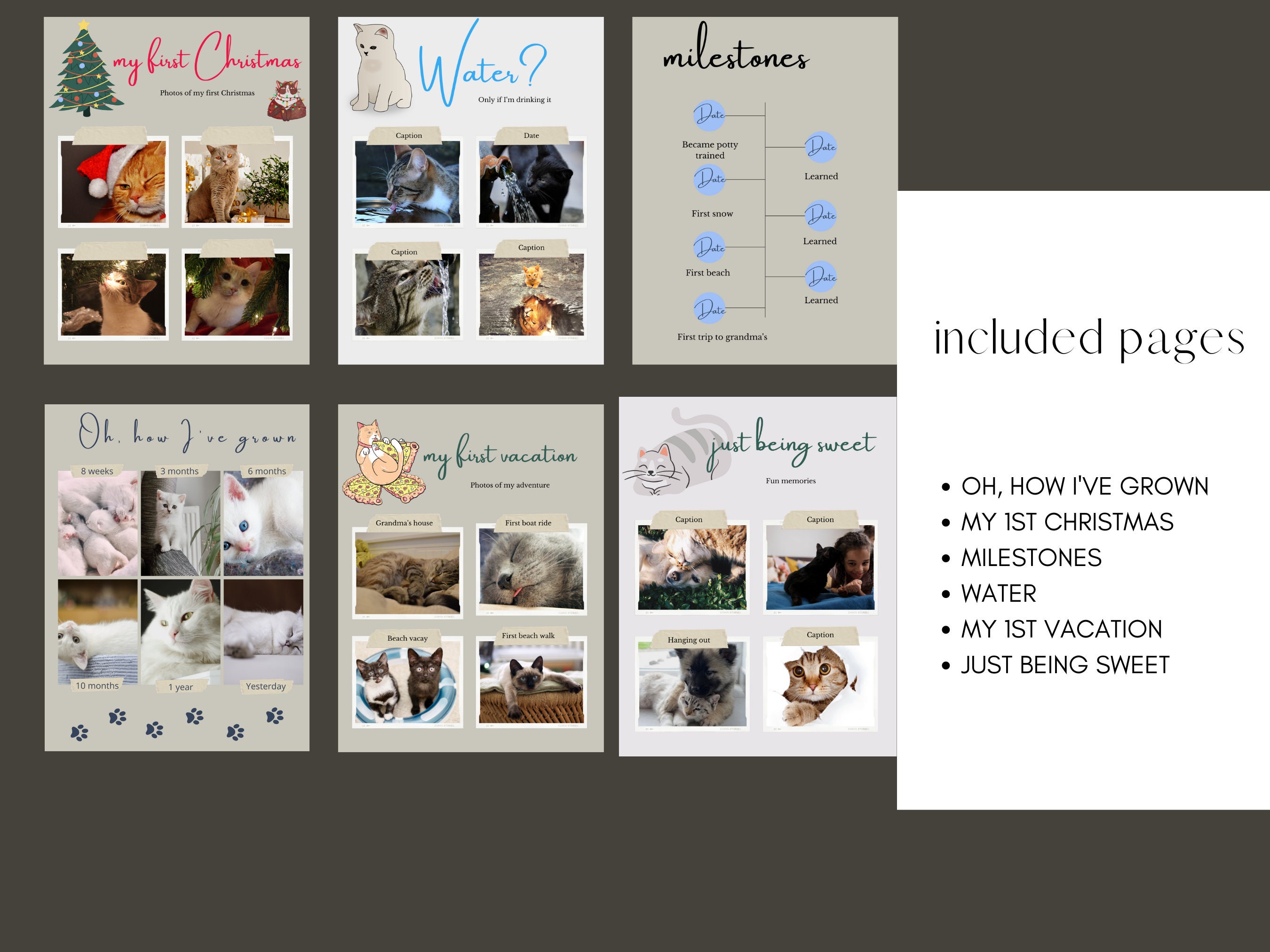 Kitten Photo Album Kitten Baby Book Cat Mom Kitty Mom Etsy