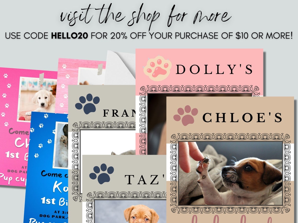 Dog Boarding Kennel Sheet Plus Kennel Card Bundle Puppy Boarding Dog