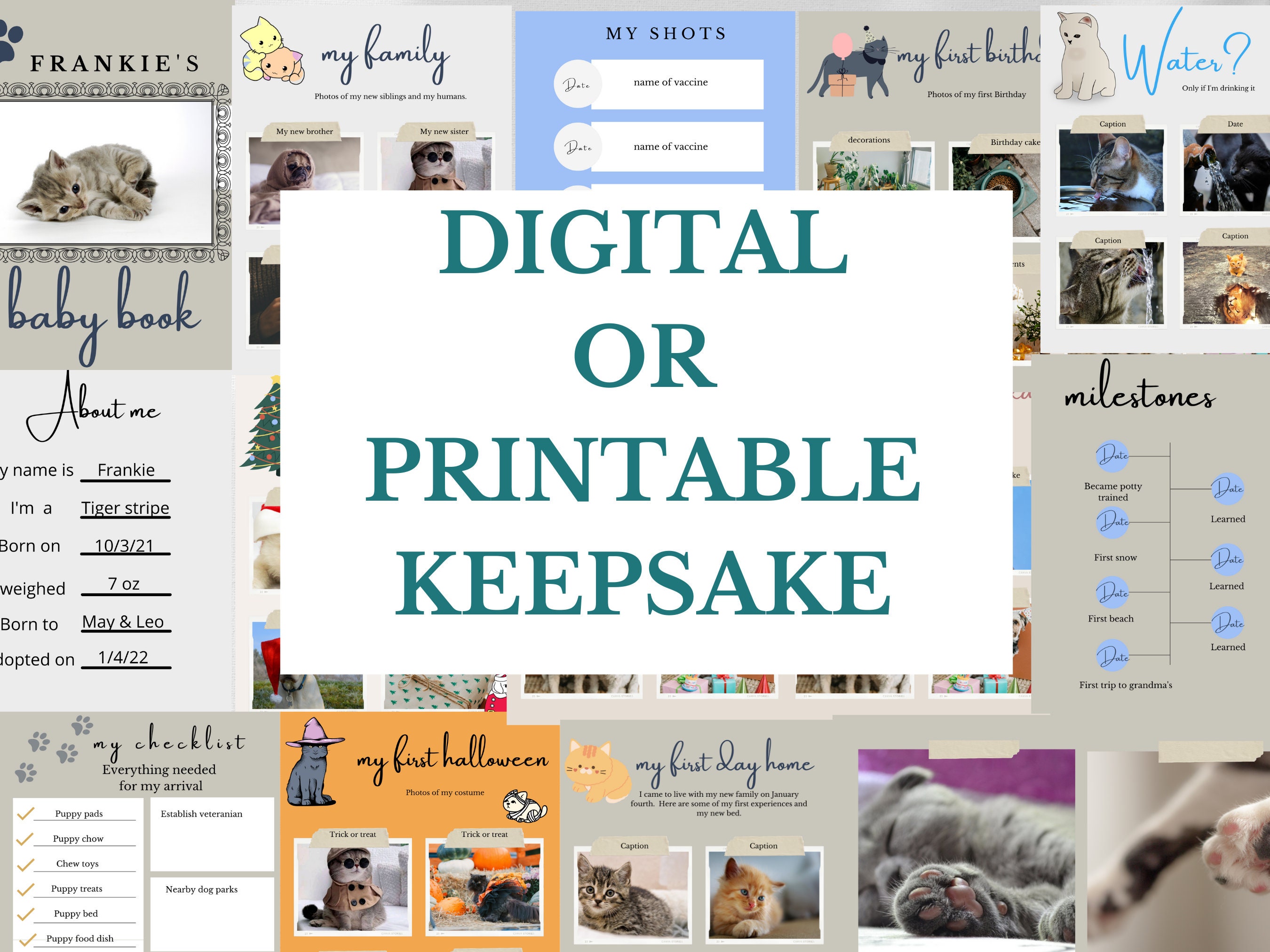 Kitten Photo Album Kitten Baby Book Cat Mom Kitty Mom Etsy