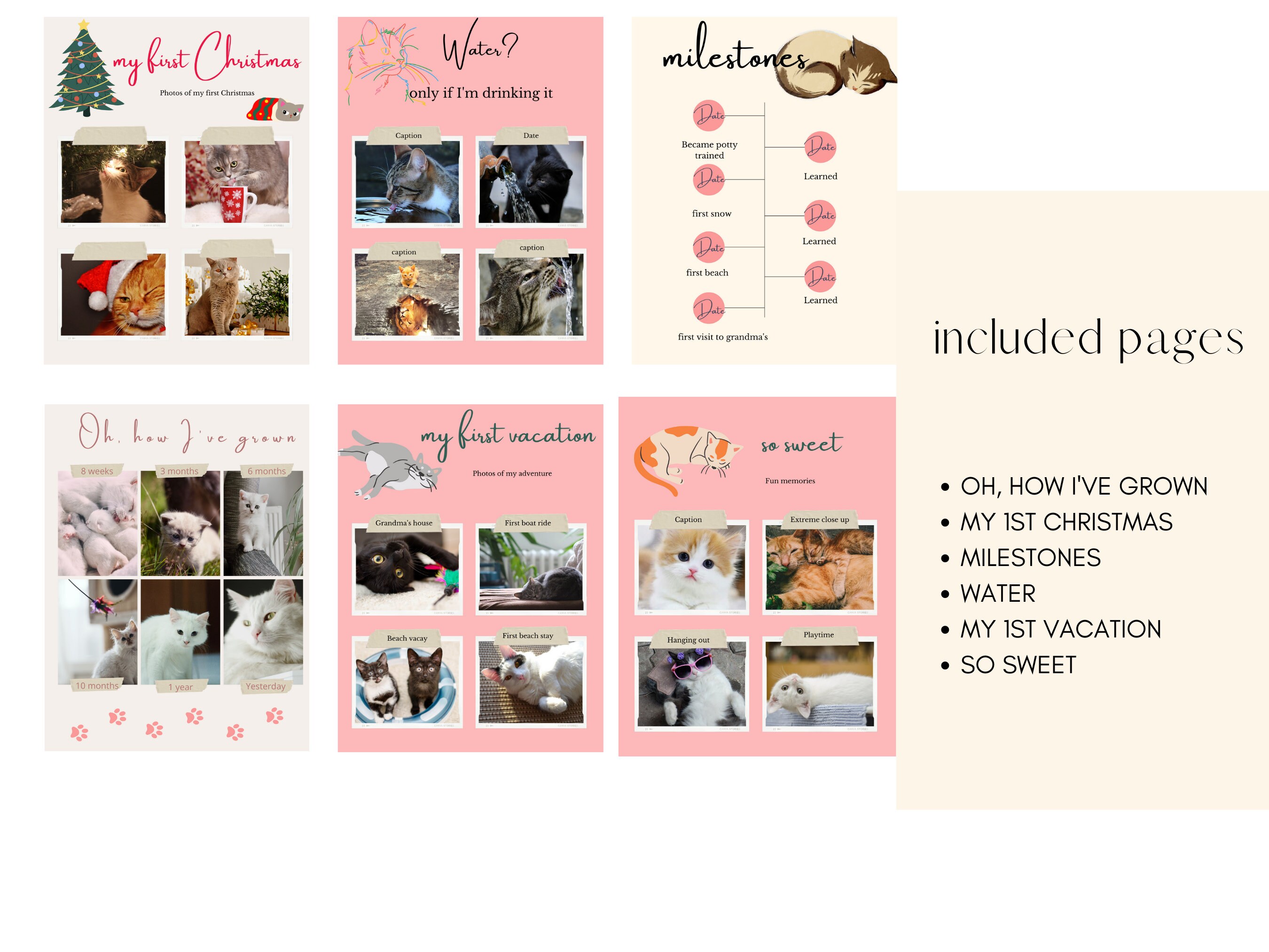 Kitten Photo Album Kitten Baby Book Cat Mom Kitty Mom Etsy