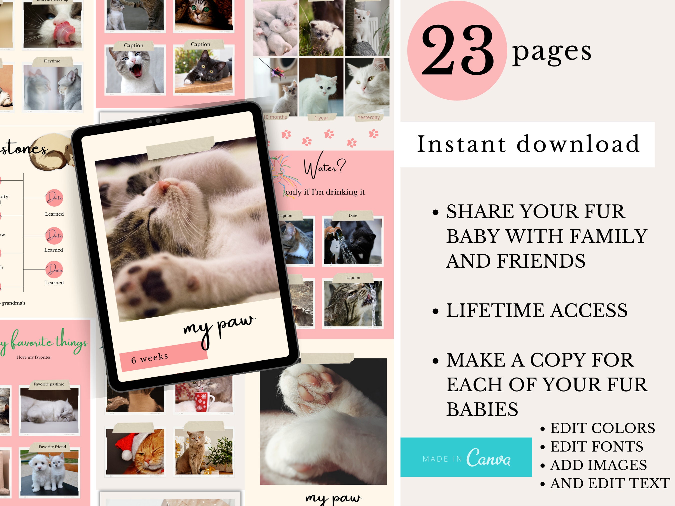 Kitten Photo Album Kitten Baby Book Cat Mom Kitty Mom Etsy