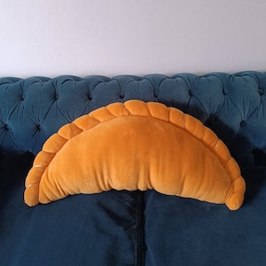 Argentine EMPANADA cushion