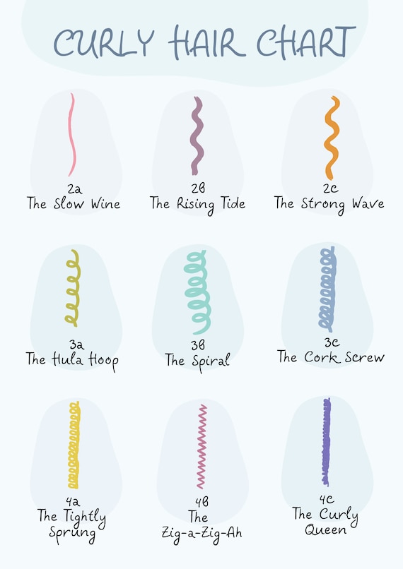 Curly Hair Type Chart - Etsy