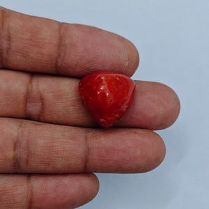 Vintage Italian Red Coral Cabochon, Red Coral Cabochon Gemstone, Sea Coral Polished Gemstone, Mediterranean Coral Fr Jewelry Making,