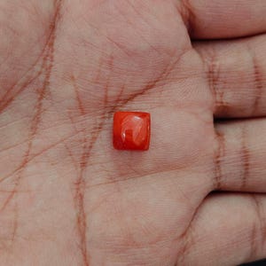 Beautiful Italian Red Coral Cabochon Gemstone, Sea Coral Polished Loose Gemstone, Mediterranean Coral For Jewelry Making,