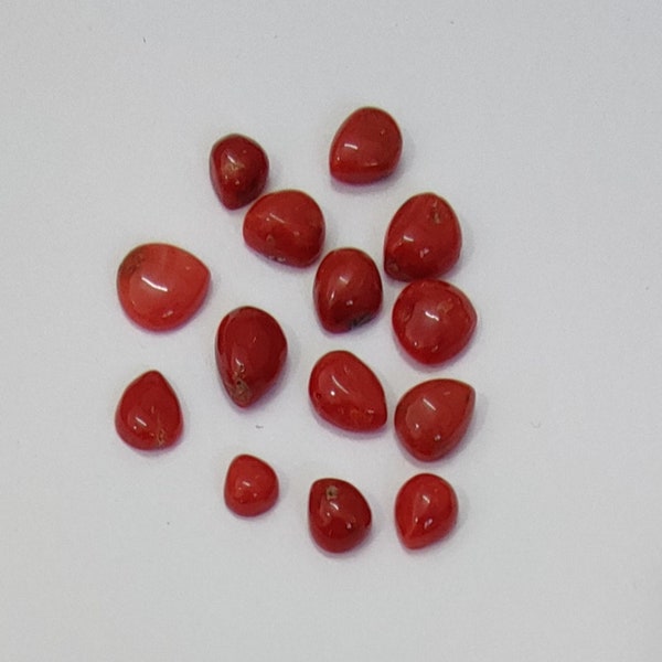 14"Piece Lot Italian Red Coral Cabochon, Red Coral Pear Shape Gemstone, Sea Coral Shiny Polished Gemstone, Coral For Jewelry Making,