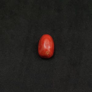 Italian Red Coral Cabochon, 100% Natural Red Coral Oval Shape Gemstone, Sea Coral Shiny Polished Gemstone