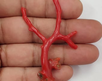 Branche de corail rouge italien poli, pierre précieuse : fabrication de bijoux, 20 carats