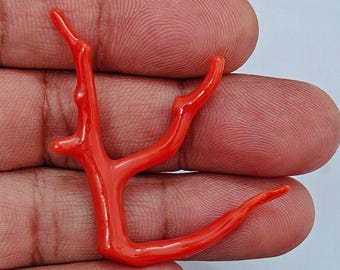 Branche De Corail Rouge Naturel D'Italie - Pierre Précieuse Opaque - Poids ~50 Carats