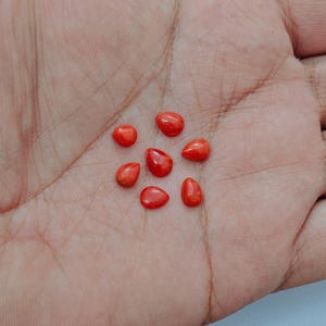 SALE Genuine Italian Red Coral Cabochon Gemstone, Sea Coral Polished Loose Gemstone, Mediterranean Coral For Jewelry Making,