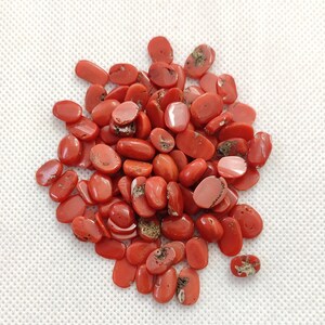 100% Natural Italian Red Coral Cabochon, Coral Loose Gemstone, Coral Polished Cabochon Sea Coral Cabochon Jewelry Making 50&quot;Carat One Lot