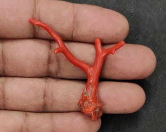 Branche De Corail Rouge Italien - Pierre Précieuse Naturelle 100 Carats - Vintage - Neuf Sans Emballage