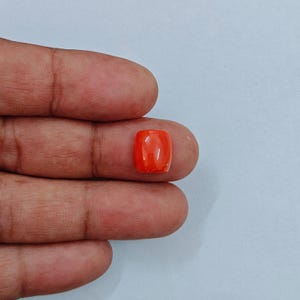 Beautiful Italian Red Coral Cabochon Gemstone, Sea Coral Polished Loose Gemstone, Mediterranean Coral For Jewelry Making,