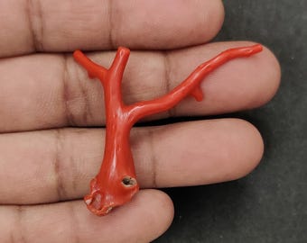 Natural Red Coral Branch | Genuine Mediterranean Italian Coral | Collector Specimen | Jewelry Craft Supply