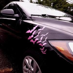 Cute Bat Car Lashes Set