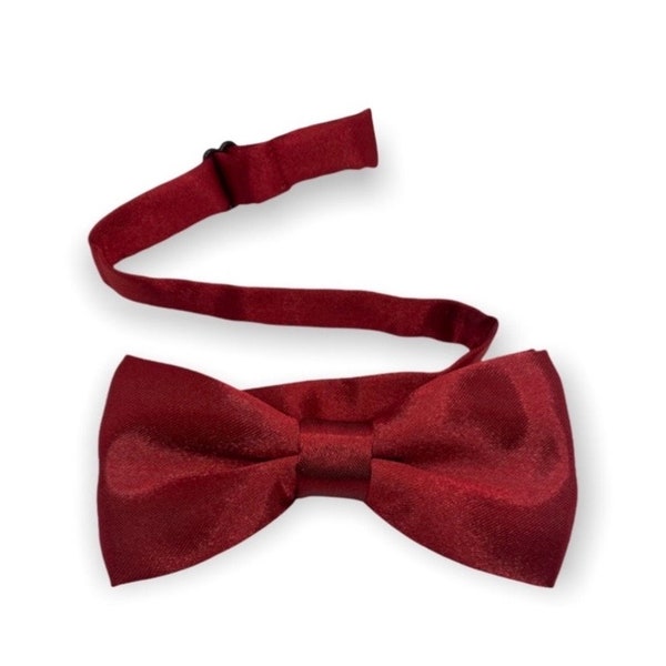 Apple Red Satin  Kids Bow Tie/pet bow tie/dog bow tie/hairbow