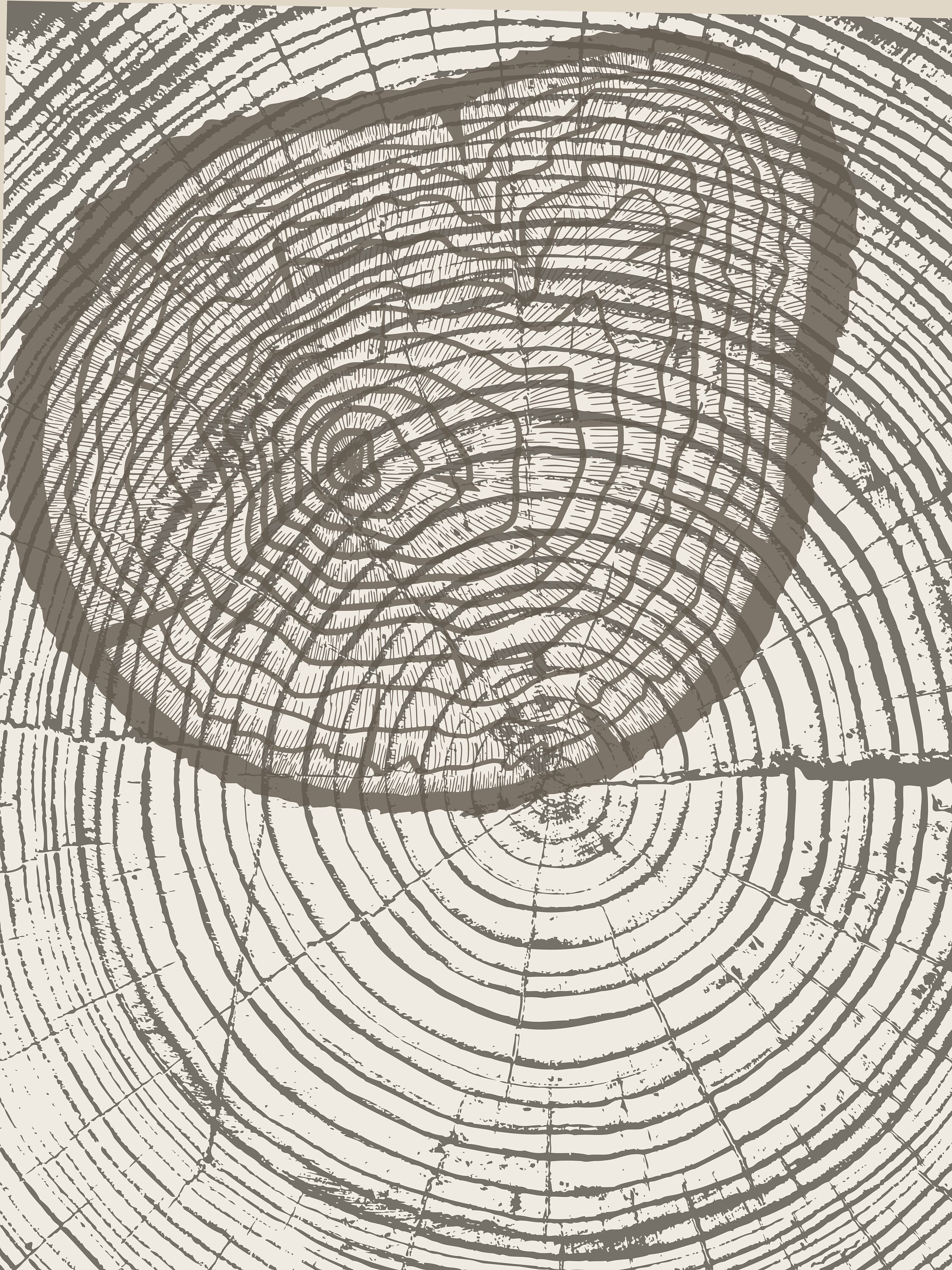 Tree Ring Printable Tree Stump Prints Digital Print Set Etsy