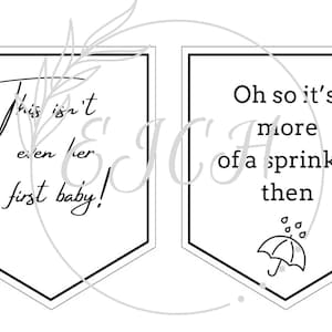 Schitt&#39;s creek baby shower/sprinkle bunting SVG