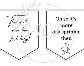 Schitt's creek baby shower/sprinkle bunting SVG
